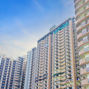 saya-gold-avenue